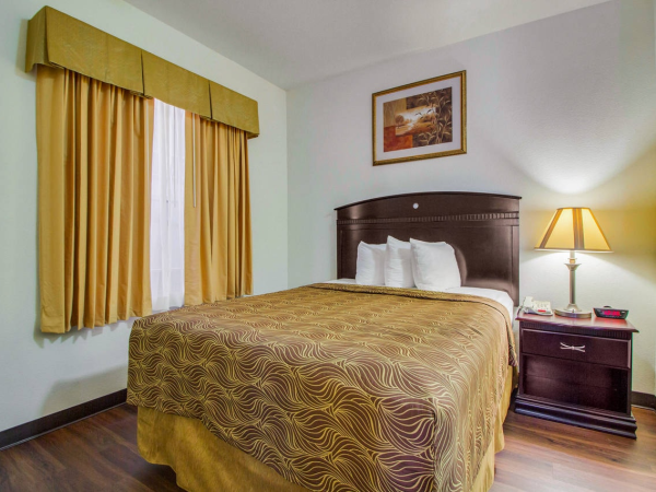 A cozy hotel room with a neatly made bed, warm lighting, a bedside table, lamp, and a framed picture above the headboard.