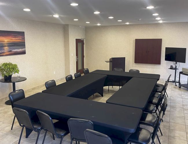 A conference room with U-shaped table setup, chairs, a plant, wall art, and a TV on a stand with equipment.